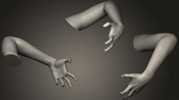 Анатомия скелеты и черепа (Поза женской руки 9, ANTM_0537) 3D модель для ЧПУ станка